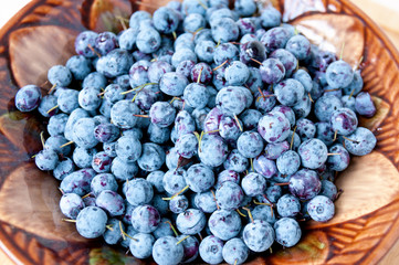 Berry blueberries in a ceramic bowl on table
