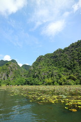 タムコックの景観