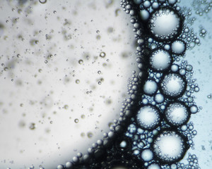 Mixture of soap and oil viewed under the microscope.
