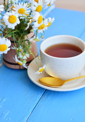 cup of herbal chamomile tea with camomile dry blossoms, dried camomile flowers. doctor treatment and prevention of immune concept, medicine - folk, alternative, complementary, traditional medicine 