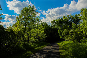 Fototapeta na wymiar Park Bike Trail with Blue Cloudy Sky