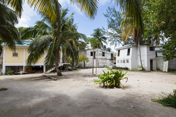 Fototapeta na wymiar Tobacco Cay in Belize