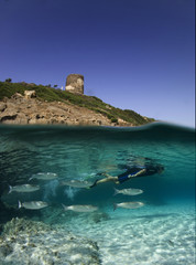 Isola dell'Asinara (Sassari, Sardegna, Italia) Baia sotto la torre di Cala d'Oliva.