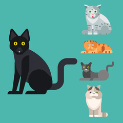 Fototapeta na wymiar Cats vector illustration cute animal funny decorative kitty characters feline domestic kitten trendy pet drawn