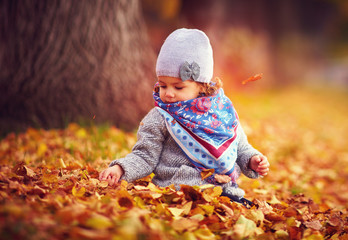 adorable happy girl playing with fallen leaves in autumn park