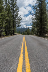 Fototapeta premium Road Through Pine Trees with Lassen Peak