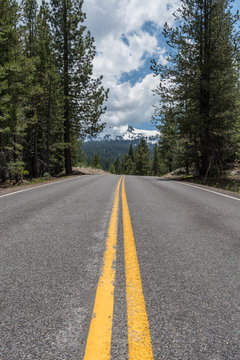 Road Through Pine Trees with Lassen Peak