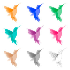 Fototapeta na wymiar Vector Colored Stylized Tropical Hummingbirds Template for Logo Design