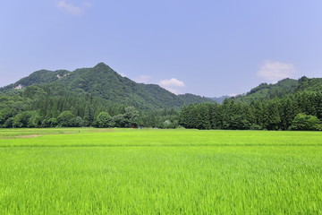 秋田の田園風景