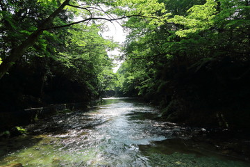 Obraz premium 鵜養の風景