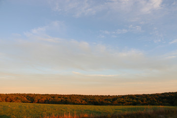 Fall Treeline, Catskills