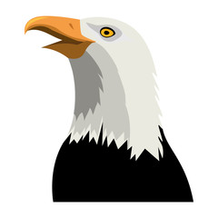 American hawk symbol