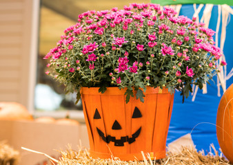 Jack-o'-lantern Flower Pot