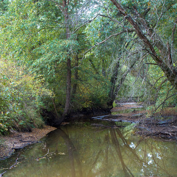 Creek or stream in Necedah National Wildlife Refuge in Wisconsin in autumn