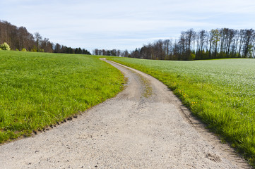 Dirt road between pastures