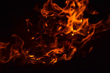 Burning of rice straw at night. Red fire on a black background. Combustion.