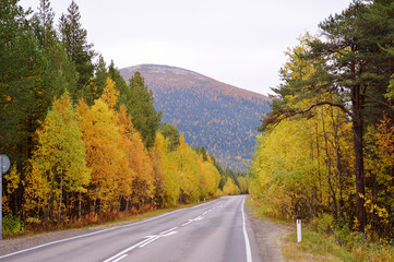 осенняя дорога. © nikpul