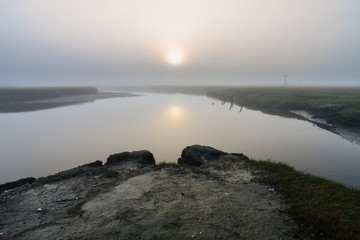 Fog on the Marsh H