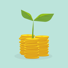 Plant Growing In Savings Coins - Investment And Interest Concept ,Business investment growth concept,with stack money coin