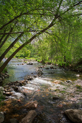 Fototapeta premium Sedona