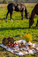 Picnik with horse