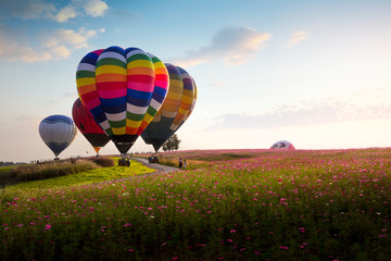 Obraz premium Singha Park Balloon Fiesta 2017