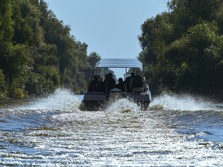 Tourist Group in the Danube Delta, Romania