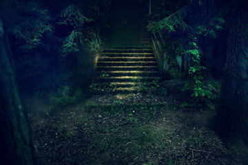 Scary Forest - Halloween Background. Foggy night alone home in forest. Halloween concept