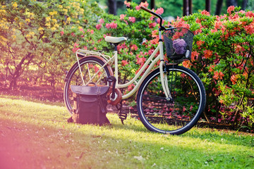 Fototapeta na wymiar Retro bicycle in a park.