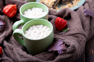 Fototapeta na wymiar Two cup of coffee or hot chocolate with marshmallow near knitted blanket and pie. Autumn concept. Christmas.