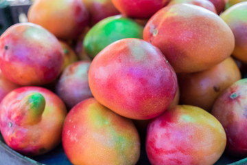 New mango for sale at local farmers market