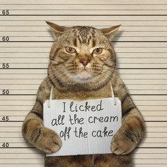 Le méchant chat a léché toute la crème du gâteau.