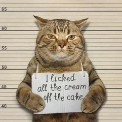 Foto op Plexiglas De stoute kat likte alle room van de taart. © iridi66