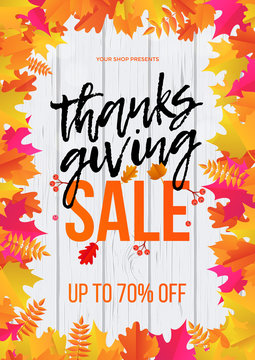 Thanksgiving autumn shop sale web banner or store promo discount poster design template. Vector maple leaf for fall shopping or autumnal 70 percent Thanksgiving sale calligraphy background