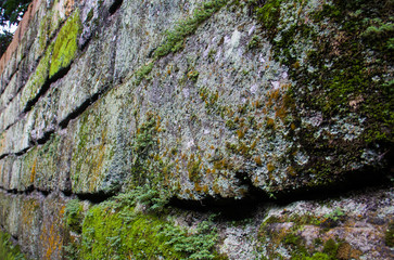 Brick wall with moss and lichen