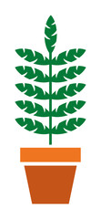 Plant vector icon