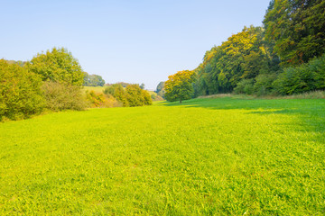 Panorama of a field on a hill in sunlight at fall