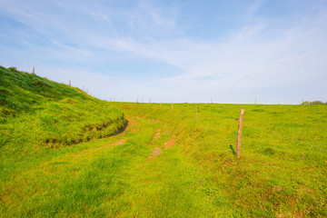 Obraz premium Path through a meadow in sunlight in autumn