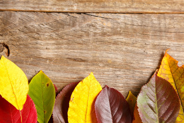 Fototapeta na wymiar image of autumn leaves over wooden textured background