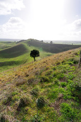 Obraz premium Vert landscape diagonal features