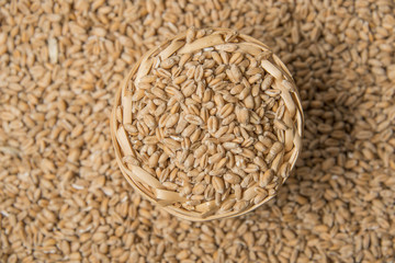 wheat grains close up - in the detail