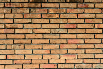 Fototapeta premium Brick wall texture background