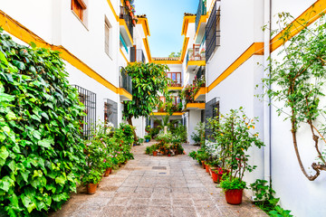 Cordoba, Andalusia, Spain