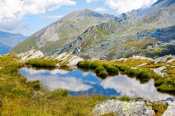 Mountain and forest landscape in Tirol. Austria, region of Hintertux