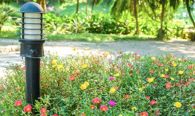 The vintage lamp in the flower garden.