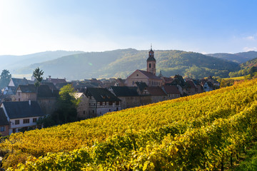 Beautiful autumn landscape with vineyards near the historic village of Riquewihr, Alsace, France -...