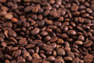 Coffee Beans Isolated on white background. Close up Copy Space Concept