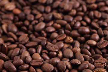 Obraz premium Coffee Beans Isolated on white background. Close up Copy Space Concept