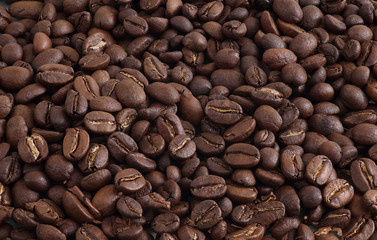 Coffee Beans Isolated on white background. Close up Copy Space Concept