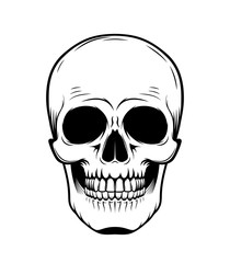Graphic illustration of skull in black lines